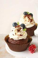 Cupcake with chocolate cream cheese, blueberry, chocolate chip and mint leaves