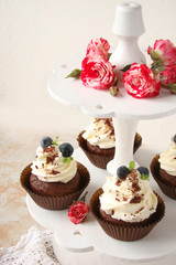 Cupcake with chocolate cream cheese, blueberry, chocolate chip and mint leaves