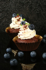 Cupcake with chocolate cream cheese, blueberry, chocolate chip and mint leaves