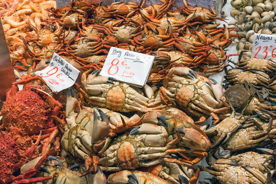 Crabs and other crustaceans for sale at a market in Madrid, Spain