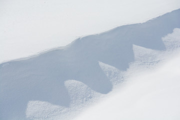 雪上の風紋