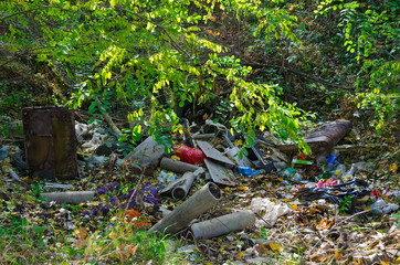 Dump in forest