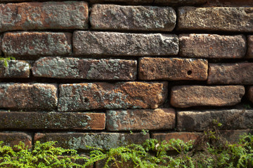 Brick wall with moss old natural texture pattern