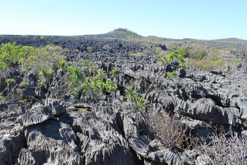 Tsingy de Bemaraha - Kalksteinformationen in Madagaskar