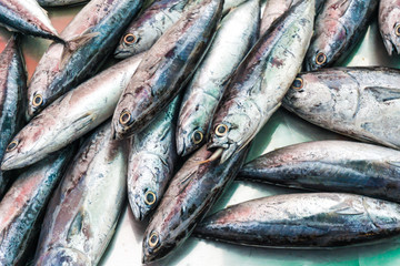 Obraz premium Fresh many sea fish close up in market