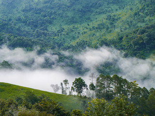 high mountain with beautiful sea of fog , misty floating down the valley over the trees and forest.