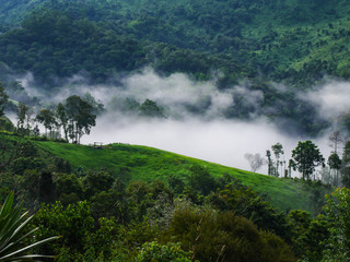 Obraz premium high mountain with beautiful sea of fog , misty floating down the valley over the trees and forest.