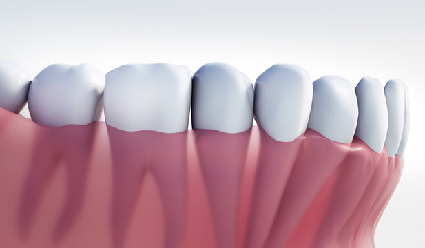 Zahnreihe mit Zahnfleisch