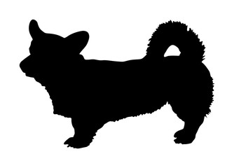 Dog portrait of Welsh corgi Cardigan vector silhouette illustration isolated. Corgi Pembroke silhouette. Beware of dog.