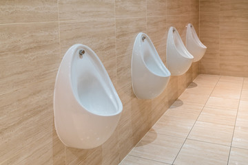 Toilet Urinal