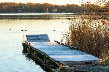 Frost covered wooden pier in coastal landscape on a cold morning. Reed beside pier and coastal landscape with birds in water in background. Location Nattraby outside Karlskrona, Sweden.
