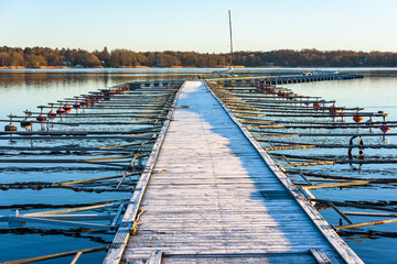Fototapeta premium Almost empty marina with frost on the pier. All but two mooring places are abandoned for winter. Windless sea and coastal landscape in background. Location Nattraby, Karlskrona in Sweden.