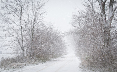 Beautiful winter landscape a snowy day