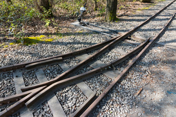 Fototapeta premium Weiche