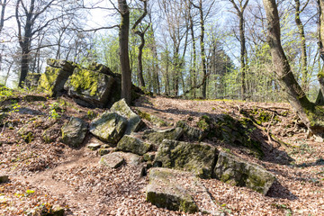 Fototapeta premium Kulturdenkmal Johannissteine am Piesberg Osnabrück
