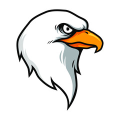 American Eagle / Hawk Head Vector
