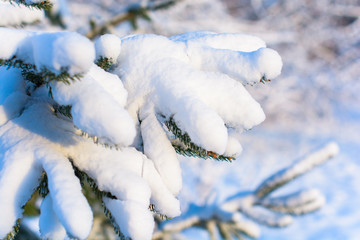 Winter snowy season