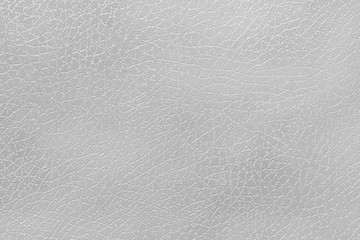 White Leather Texture 