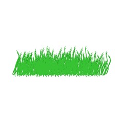 Nature Grass Green
