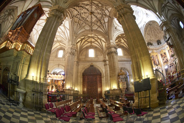 Inside of the Cathedral of Guadix province of Granada, Granada, Andalusia, Spain, Europe