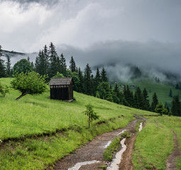 Wet path leading to the mountains. Landscape after the rainy weather.