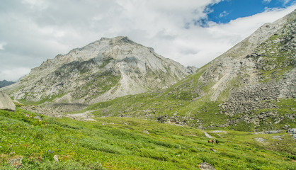 Fototapeta premium Mountain landscape, nature. Siberia.