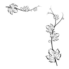 black_vine_with_leaves_5