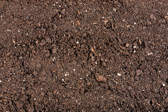 black composted Soil surface background