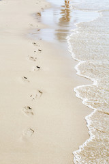 One chain of traces on the brown sand near the sea