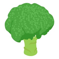 Broccoli icon, isometric 3d style