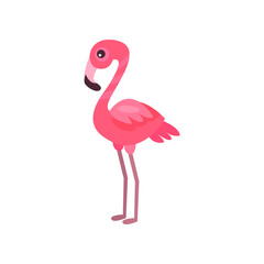Pink flamingo, exotic bird summer time cartoon vector Illustration