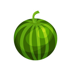 Ripe watermelon cartoon vector Illustration