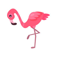 Lovely flamingo, exotic bird summer time cartoon vector Illustration