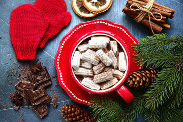 Homemade spicy warming hot chocolate with mini marshmallow.Top view with copy space.