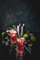 Refreshment alcoholic red cranberry and lime cocktail with rosemary and ice, two glass, dark...