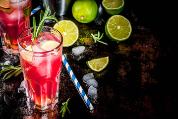 Refreshment alcoholic red cranberry and lime cocktail with rosemary and ice, two glass, dark background copy space