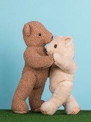 Couple of two enamored teddy bears dancing. Valentine day with love concept.