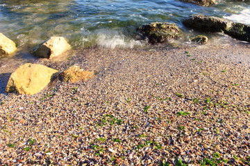 Pebbles, stones and algae on the beach Black Sea