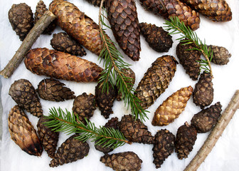 Шишки на белом фоне, еловые шишки и ветки ели. Творческий фон. 