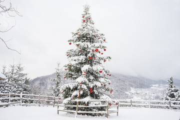 Christmas tree outdoors/tall Christmas fir tree decorated with red globes and wrapped gifts during a snow fall. - 184269300