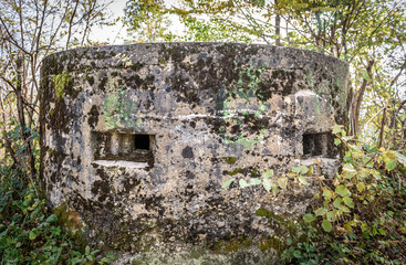 Abandoned world war army bunker covered with moss in forest.