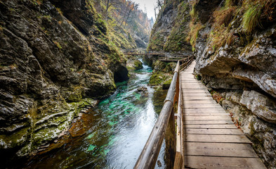 Soteska Vintgar, The Vintgar Gorge or Bled Gorge in Slovenia.