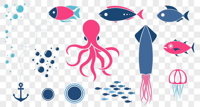 Sea animals isolated collection background