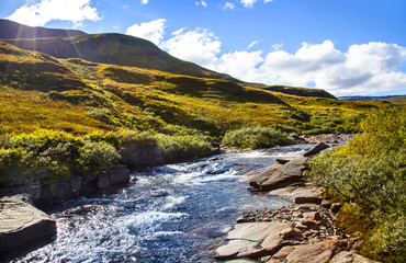 Flusslandschaft