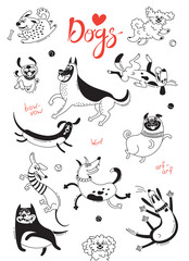 Playing dogs. Funny lap-dog, happy pug, mongrels and other breeds. Set of isolated vector drawings for design - 184271175