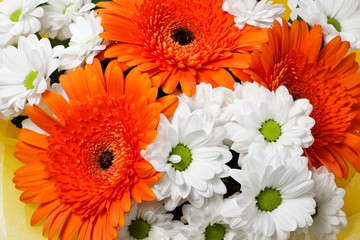 Flower Arrangement, background