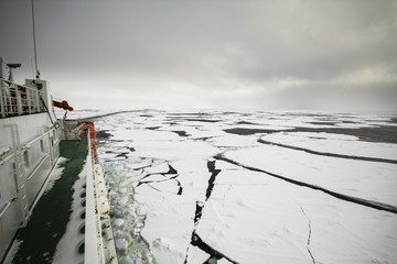 Cruising in frozen ocean