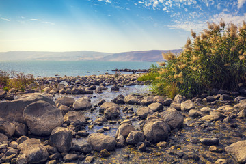 The coast of the Sea of Galilee near Ein Eyov Waterfall in Tabgha, Israel - obrazy, fototapety, plakaty