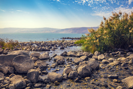 The coast of the Sea of Galilee near Ein Eyov Waterfall in Tabgha, Israel