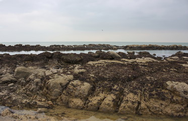 Eastbourne - seashore - IV - 